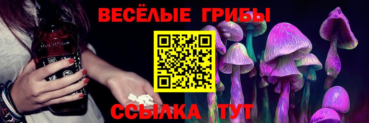 Псилоцибиновые грибы Psilocybe  Псилоцибиновые грибы мухоморы  Вход с VPN  Губаха 